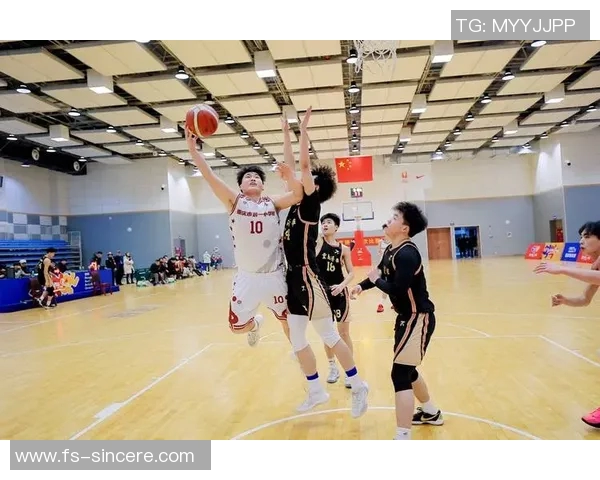 重庆篮球队在精英赛中的比赛经验与表现分析